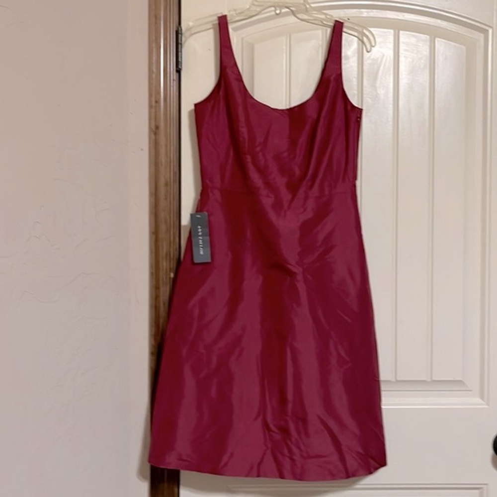 Ann Taylor
Burgundy Silk Taffeta V-Neck Dress
Size 6